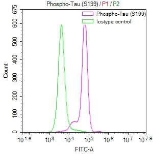 Phospho-Tau (Ser199) Antibody in Flow Cytometry (Flow)