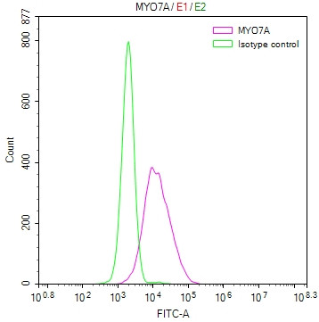 MYO7A Antibody in Flow Cytometry (Flow)