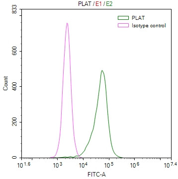 tPA Antibody in Flow Cytometry (Flow)