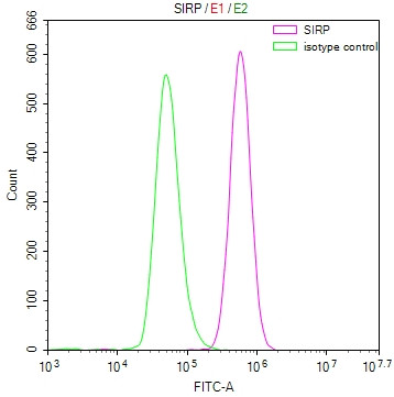 SIRP alpha Antibody in Flow Cytometry (Flow)