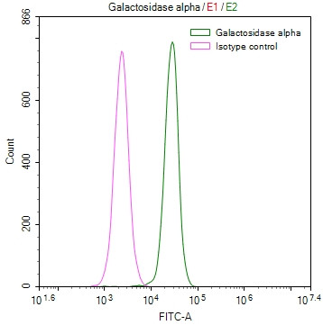 alpha Galactosidase Antibody in Flow Cytometry (Flow)