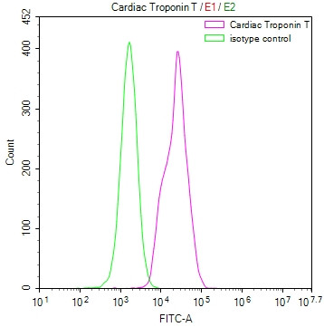 Cardiac Troponin T Antibody in Flow Cytometry (Flow)