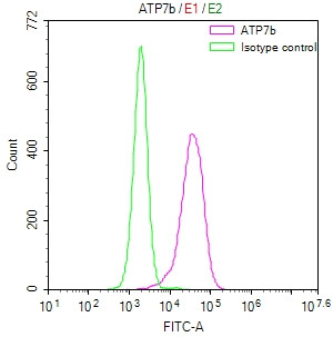 ATP7B Antibody in Flow Cytometry (Flow)