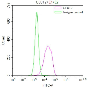 GLUT2 Antibody in Flow Cytometry (Flow)