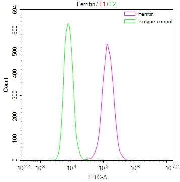 Ferritin Heavy Chain Antibody in Flow Cytometry (Flow)