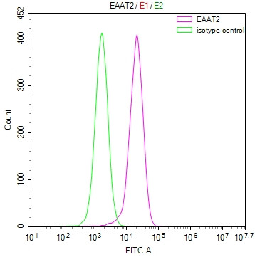 GLT-1 Antibody in Flow Cytometry (Flow)