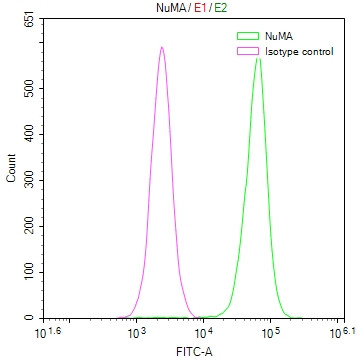 NuMA Antibody in Flow Cytometry (Flow)