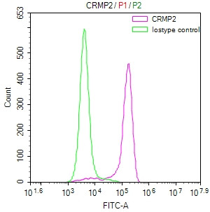 CRMP2 Antibody in Flow Cytometry (Flow)