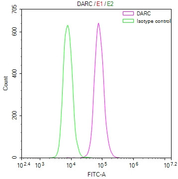 DARC Antibody in Flow Cytometry (Flow)