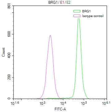 BRG1 Antibody in Flow Cytometry (Flow)