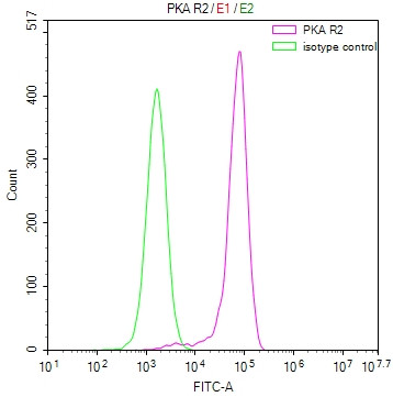 PRKAR2A Antibody in Flow Cytometry (Flow)