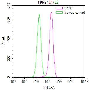 PKN2 Antibody in Flow Cytometry (Flow)