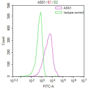 ASS1 Antibody in Flow Cytometry (Flow)