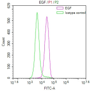 EGF Antibody in Flow Cytometry (Flow)