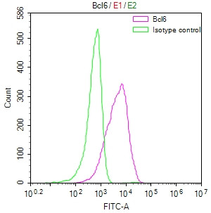 BCL6 Antibody in Flow Cytometry (Flow)