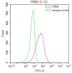 CREB Antibody in Flow Cytometry (Flow)