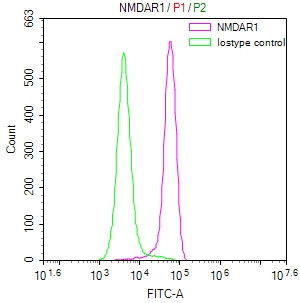 NMDAR1 Antibody in Flow Cytometry (Flow)