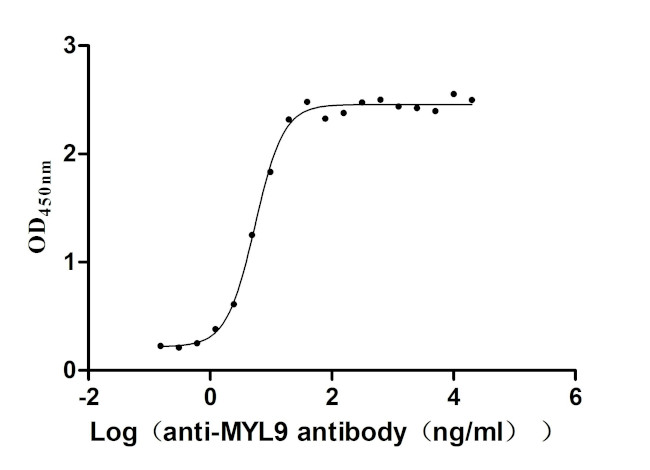 MYL9 Antibody in Neutralization (Neu)