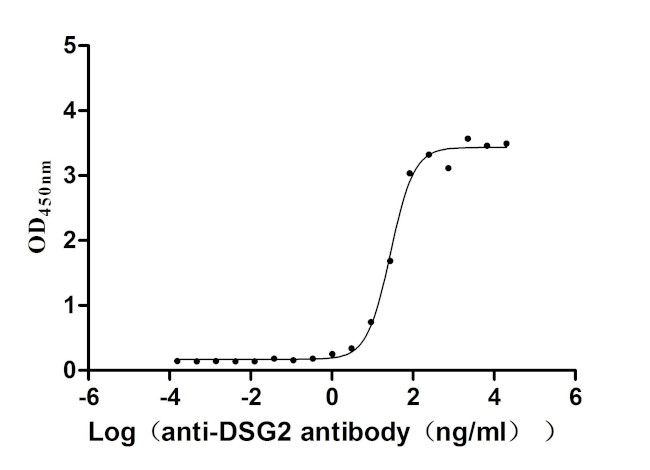 Desmoglein 2 Antibody in Neutralization (Neu)