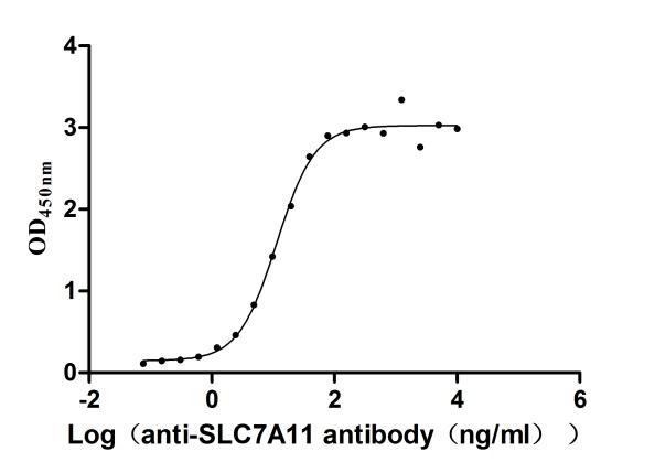 SLC7A11 Antibody in ELISA (ELISA)