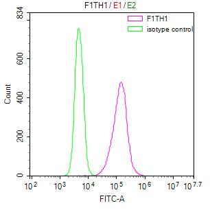 Ferritin Heavy Chain Antibody in Flow Cytometry (Flow)