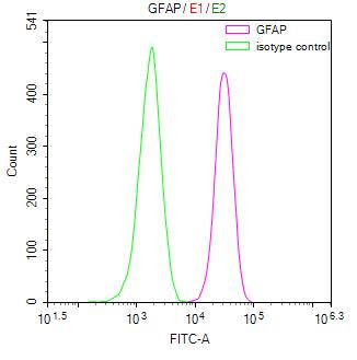 GFAP Antibody in Flow Cytometry (Flow)