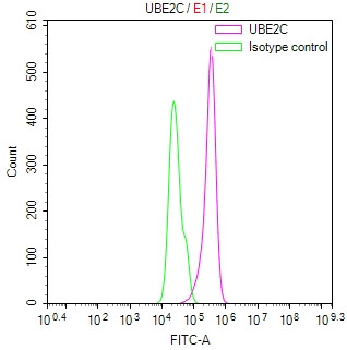 UBE2C Antibody in Flow Cytometry (Flow)