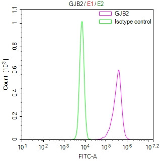 Connexin 26 Antibody in Flow Cytometry (Flow)