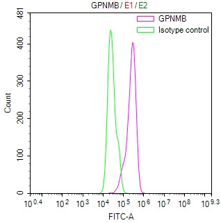 GPNMB Antibody in Flow Cytometry (Flow)