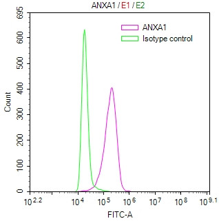 Annexin A1 Antibody in Flow Cytometry (Flow)