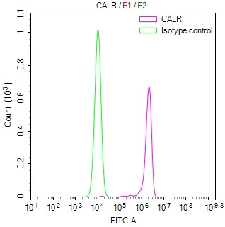 Calreticulin Antibody in Flow Cytometry (Flow)