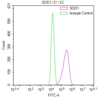 SOD1 Antibody in Flow Cytometry (Flow)