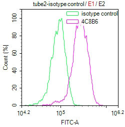 Flotillin 1 Antibody in Flow Cytometry (Flow)