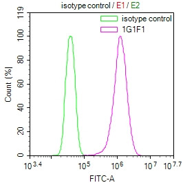 GSTM3 Antibody in Flow Cytometry (Flow)