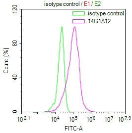 SLN Antibody in Flow Cytometry (Flow)