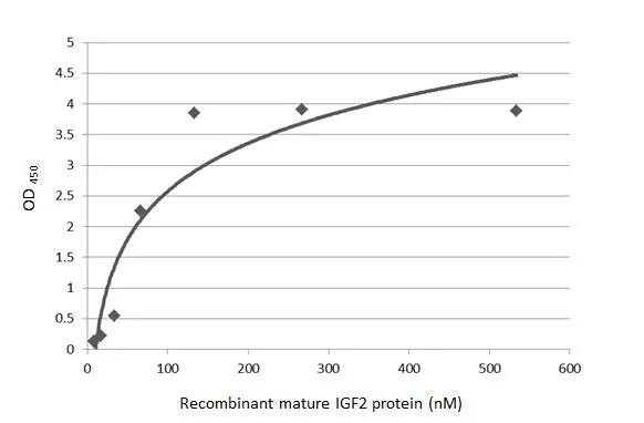 IGF2 Antibody in ELISA (ELISA)