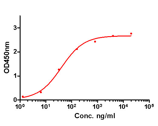 GM-CSF Antibody in ELISA (ELISA)