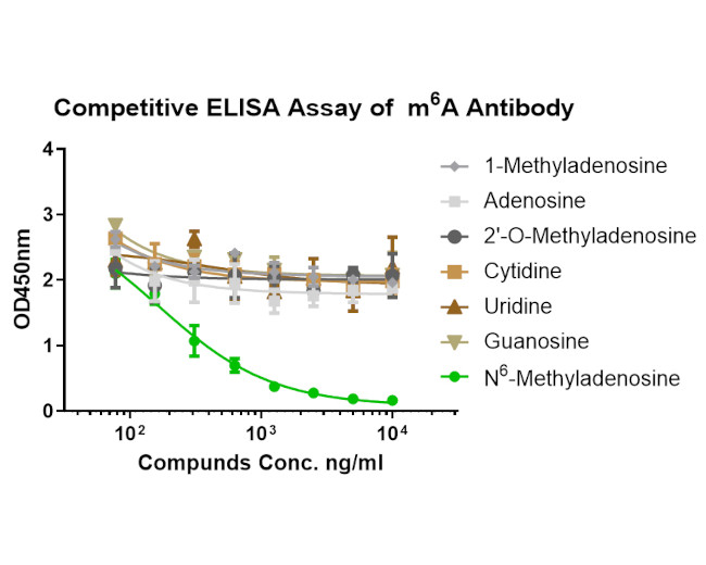 N6-Methyladenosine (m6A) Antibody in ELISA (ELISA)