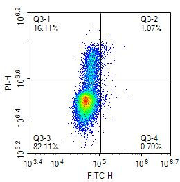 BrdU Antibody in Flow Cytometry (Flow)