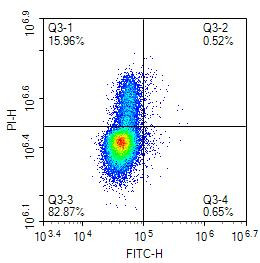 BrdU Antibody in Flow Cytometry (Flow)