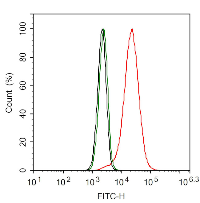 G3BP1 Antibody in Flow Cytometry (Flow)