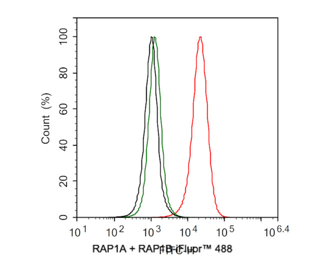 RAP1A/RAP1B Antibody in Flow Cytometry (Flow)