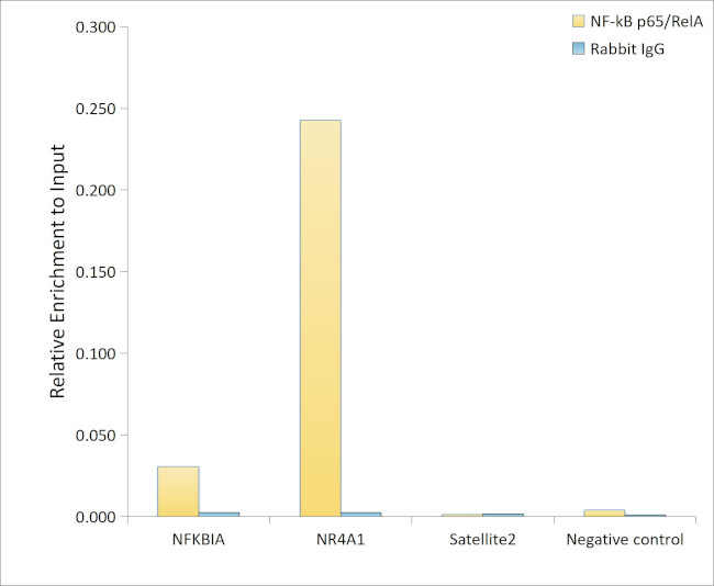 NFkB p65 Antibody in ChIP Assay (ChIP)