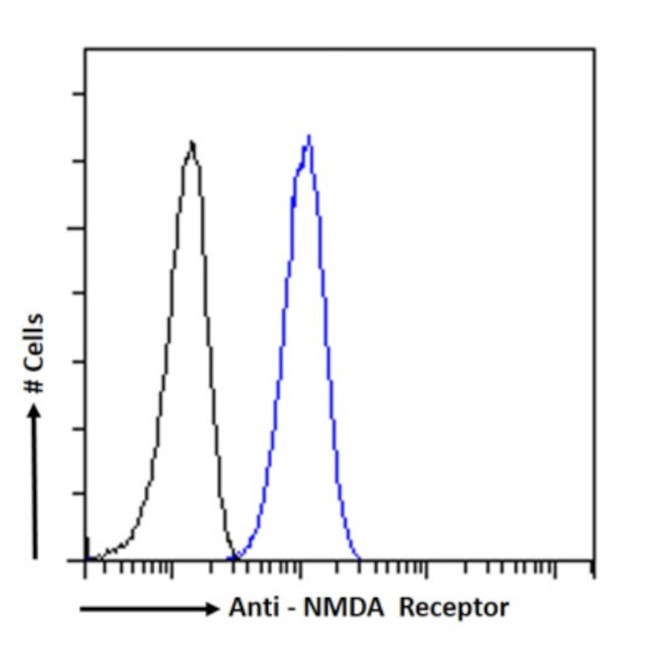 NMDAR2B Chimeric Antibody in Flow Cytometry (Flow)