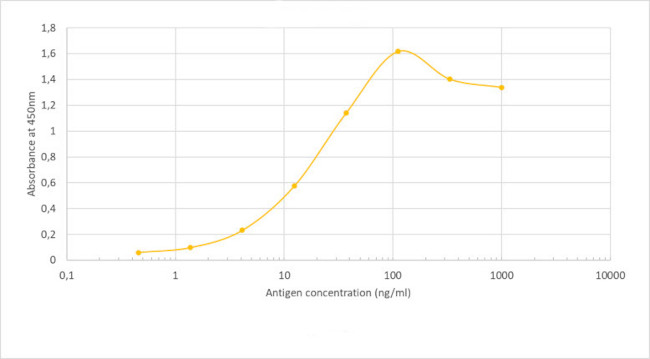 SARS-CoV-2 Spike Protein (RBD) Chimeric Antibody in ELISA (ELISA)