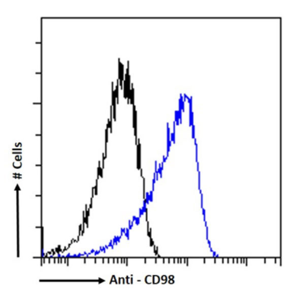 CD98 Chimeric Antibody in Flow Cytometry (Flow)