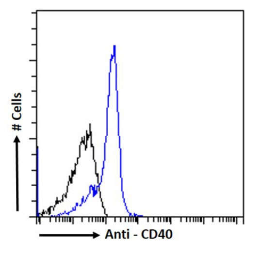 CD40 Chimeric Antibody in Flow Cytometry (Flow)