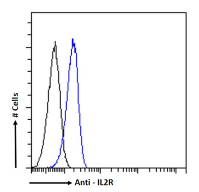 CD25 Chimeric Antibody in Flow Cytometry (Flow)