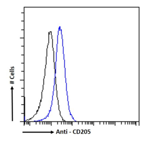 CD205 Chimeric Antibody in Flow Cytometry (Flow)