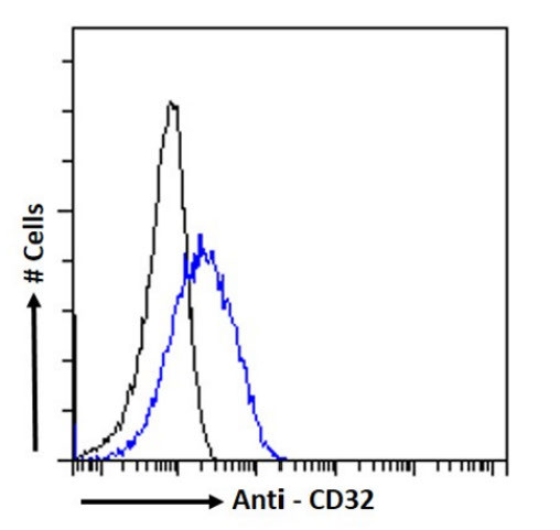 CD32 Antibody in Flow Cytometry (Flow)